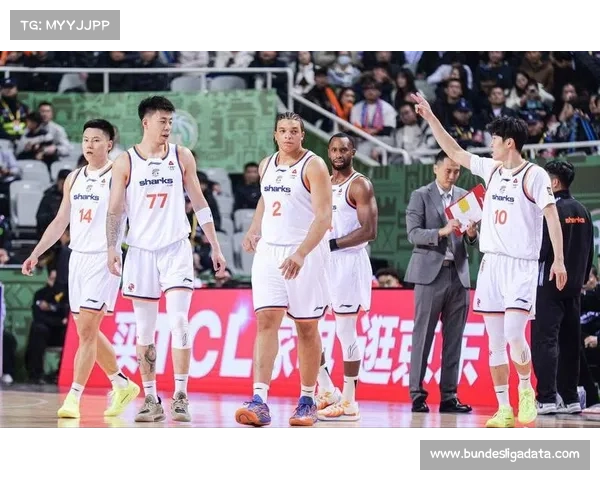 传统格局重构:上海反超广厦登顶,宁波北控等黑马球队崭露头角